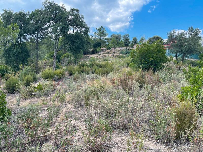 Foto 87d9cfd3-71ad-4767-aa4b-b3a51c71e4ff. Residential plot in Riudarenes