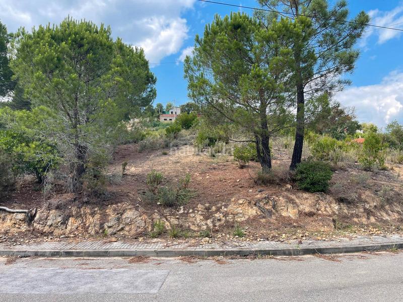 Foto f31513d7-13f1-4a7c-a9e7-44887b280cd7. Residential plot in Riudarenes