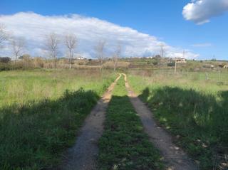 Rural plot in Mas Mora-Sant Daniel