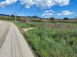Finca rústica a Mas Mora-Sant Daniel
