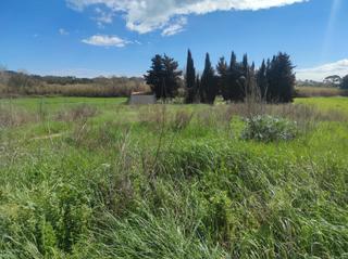 Finca rústica en Mas Mora-Sant Daniel