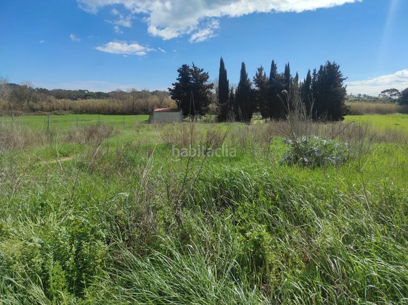 Foto a0e299bb-0a0c-46a2-8eb1-d60713e7363e. Finca rústica en Mas Mora-Sant Daniel Tordera