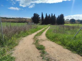 Finca rstica a Mas Mora-Sant Daniel