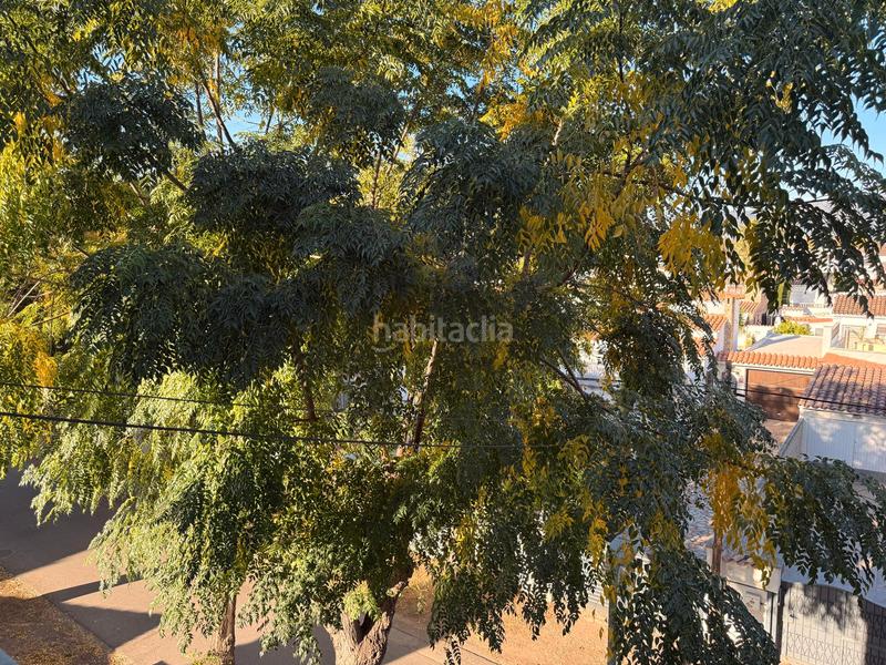 Foto e9d44e5e-af8a-4526-b0a1-4c283c9ab657. Location appartement dans Alberes Empuriabrava