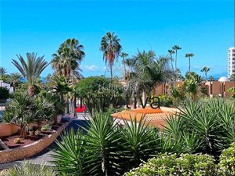 Foto 5ca3cfd3-1246-4baa-b200-99925fc8635d. Studiowohnung in calle argentina 2 in Playa de las Américas Adeje