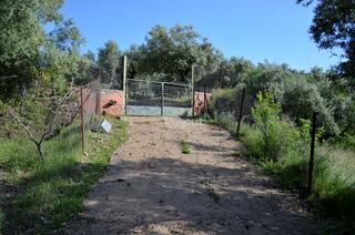 Fondo rustico  Espinaqueras. Venta conjunta de dos fincas rústicas en espinaqueras plasencia
