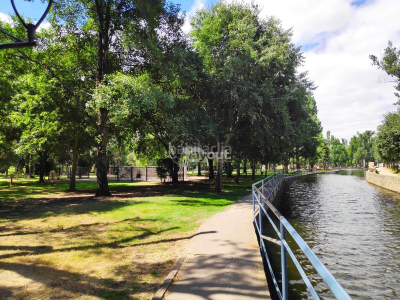 Foto 7bb2acf8-48a1-4708-8fec-80c304c3a6c8. Casa amplia vivienda unifamiliar adosada , situada a escasos metros del parque natural de la isla. con 394m construidos, 6 en Plasencia