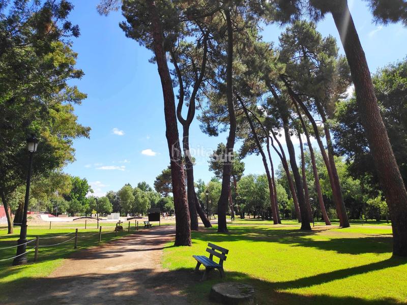 Foto ebc58570-7c3a-419e-9f29-1c3dffcbb333. Casa amplia vivienda unifamiliar adosada , situada a escasos metros del parque natural de la isla. con 394m construidos, 6 en Plasencia