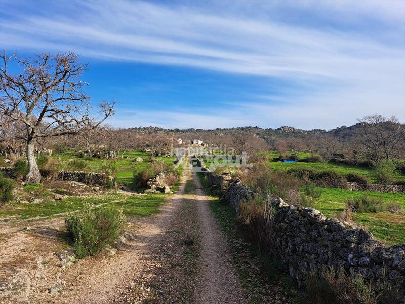 Foto 5b44b263-f2cd-4bc7-aed1-2358fa6ee109. Landgut in Valencia de Alcántara