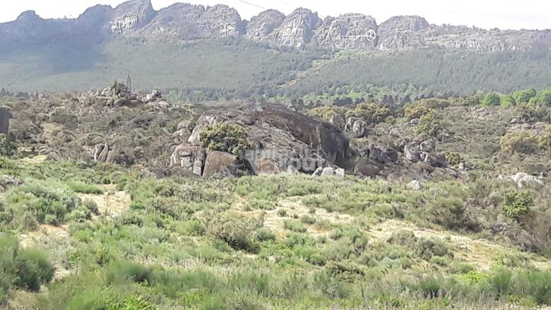 Foto 5c69e33e-b6cf-46bf-b03e-e6a2c05d3fd9. Landgut in Valencia de Alcántara