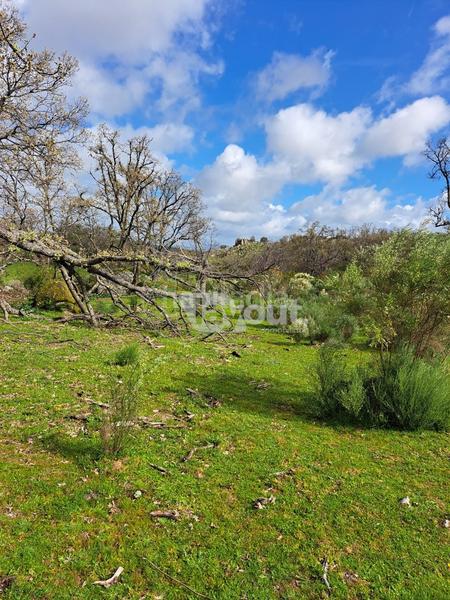 Foto 7e1f7f27-70ba-44ea-9c27-db38b90ec272. Landgut in Valencia de Alcántara