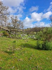 Finca r�stica  Poligono. En venta finca de 134 hect�reas en valencia de alc�ntara c�ceres