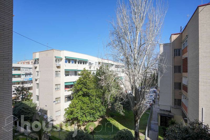 Foto 049cd363-a06c-435d-a5cf-16f92025b47e. Pis a calle impala . a Pinar del Rey Madrid