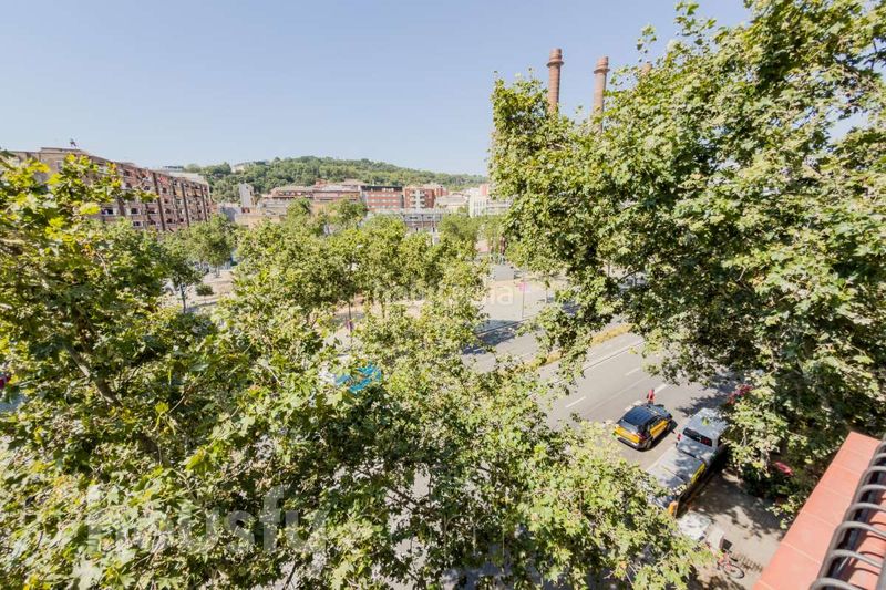 Foto a5a65648-322e-4961-9119-8c7c2fffcfb0. Pis a avenida paral.lel . a Raval Barcelona