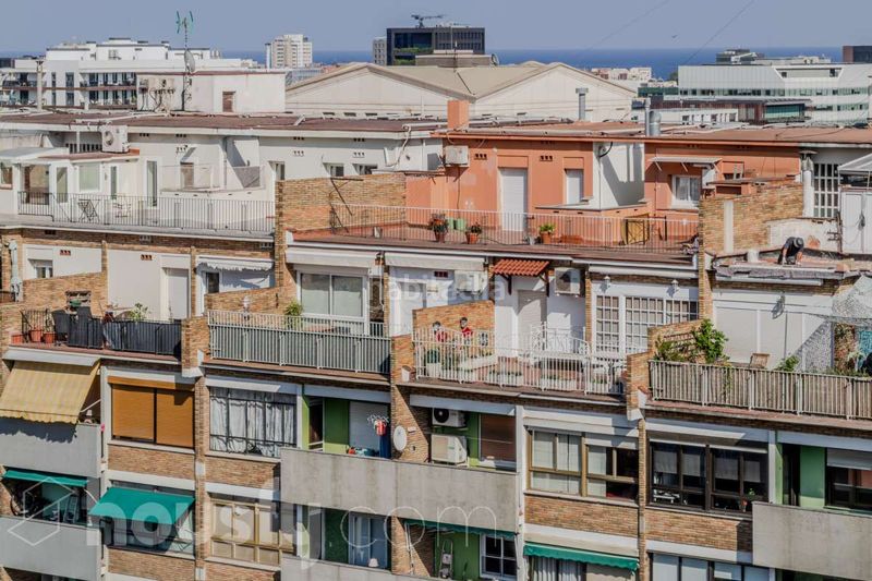 Foto eba9ad61-5b5f-49f1-8246-73272d487170. Pis a Fort Pienc Barcelona