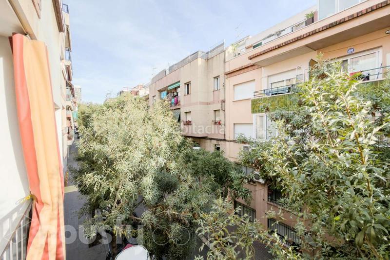Foto 8543b347-3702-4541-a000-31b2ff3ae4bc. Piso en av santa rosa . en El Raval Santa Coloma de Gramenet