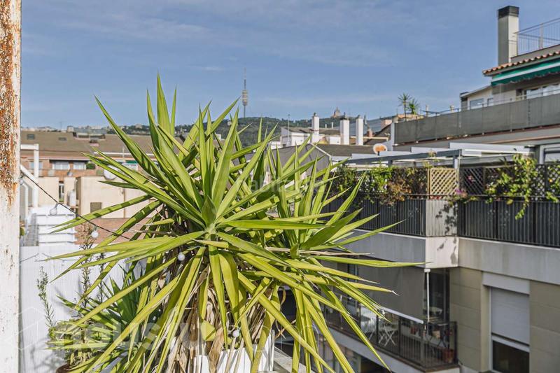 Foto 2c5aa7e1-ef49-4e2a-b54f-33ef892bed00. Attique dans cl cardenal vives i tuto . dans Sarrià Barcelona