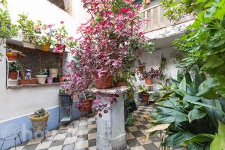Casa  Carrer bartolico .