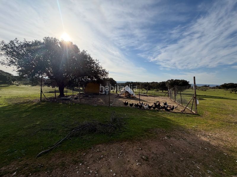 Foto 54bbb691-2904-46f4-b2a8-f626d5abbdd4. Finca rústica a Serradilla
