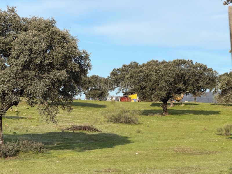 Foto a9b34fce-a8bb-4c47-bfc4-013e4c3989d4. Finca rústica a Serradilla
