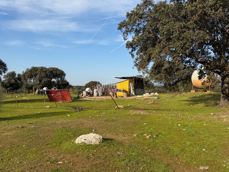 Foto d514ab6a-1508-4679-9bcb-868a391af138. Finca rústica a Serradilla