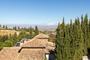 Ampliar foto cc564819-1ade-454d-a719-b20aff0e4cf5.jpg
