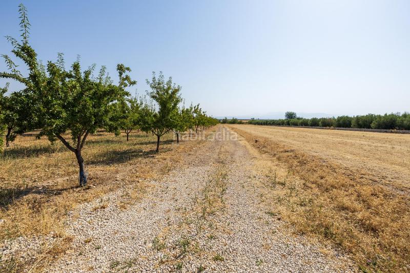 Foto 48e35ee6-7753-4ede-8347-230600d240e1. Chalet !! fantástica finca de recreo a 20 minutos de granada !! en Darro