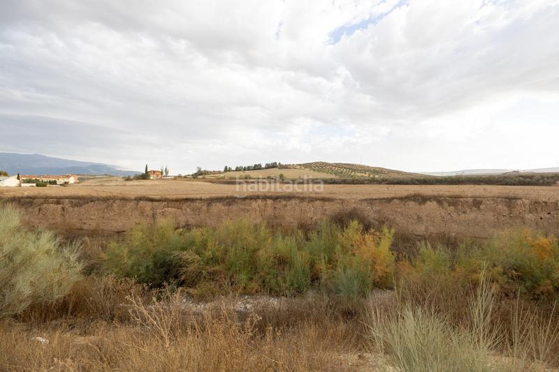 Foto 22d0bb15-1c3b-49c3-99c6-1b3cbaa2ff1d. Residential plot in Malahá (La)