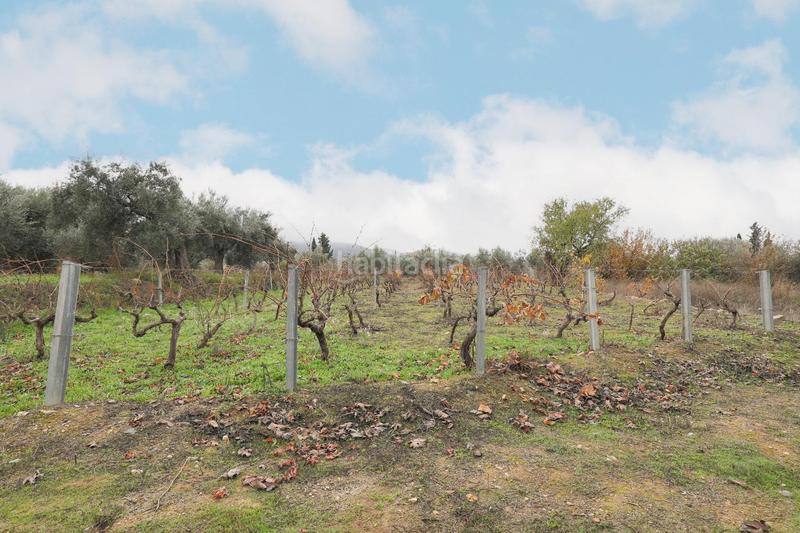 Foto 2c4cf9b3-2c87-4755-afe0-21c1276f37a1. Masia amb aparcament a Gójar