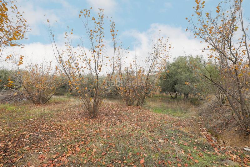 Foto 5f806551-fa60-445f-81f1-10d558bd18c8. Masia amb aparcament a Gójar