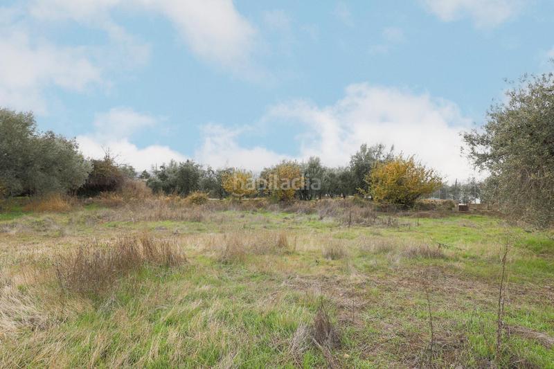 Foto 7f380002-d732-4f4a-80e8-f116038df411. Masia amb aparcament a Gójar