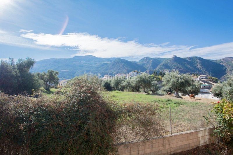 Foto 10f8a29c-9d6c-4559-8b27-e9534efda6e4. Xalet amb aparcament piscina a Güéjar Sierra