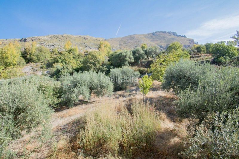 Foto a806e296-96cb-432b-91f8-565d9cdec3ab. Xalet amb aparcament piscina a Güéjar Sierra