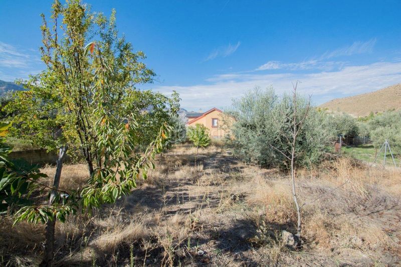 Foto c3a17f09-f29f-4e25-9e42-1b12d4e8ac46. Xalet amb aparcament piscina a Güéjar Sierra