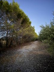 Residential Plot in Chinchón