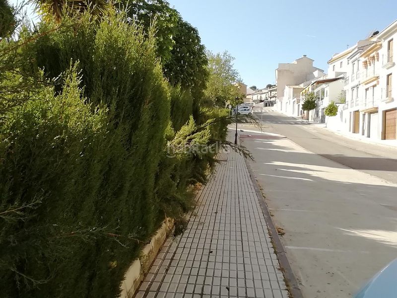 Foto 73c6233c-80fb-48e1-a1ac-3287145bbb47. Terreny residencial a Luque