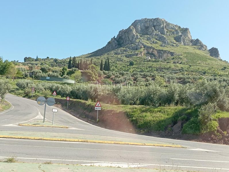 Foto c749263d-f50e-41d7-b12a-5d0f7ead20a9. Terreny residencial a Luque