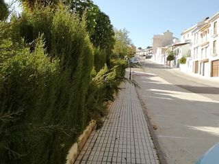 Residential Plot in Luque