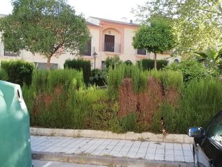 Terreno residenziale in Luque