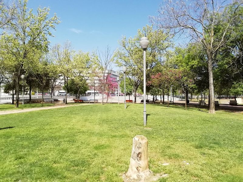 Foto c07d3d64-583b-4db8-b00b-8b4998112e39. Pis a Centro Córdoba