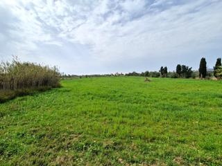 Finca rústica a S´Aranjassa. Finca s'aranjassa 13800m2 de terreno