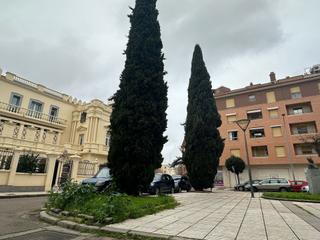 tic en Pardaleras. exclusivo tico dplex con garaje en ubicacin privilegiada!
