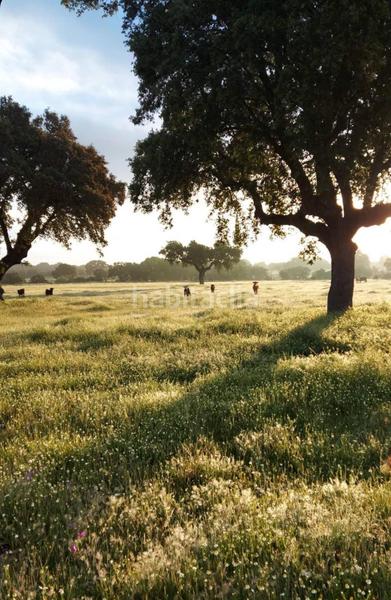 Foto 39eb2e79-e359-4048-97df-4aa36fcfd1c0. Propriété dans Casatejada