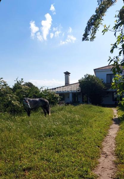 Foto a34853f3-ac71-4f15-a698-97f3eda64f24. Propriété dans Casatejada