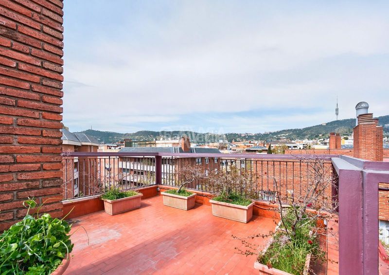 Foto d8445638-f54d-41f7-93c1-2ffbf8a87507. Àtic amb aparcament piscina a Tres Torres Barcelona