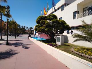 Lloguer Local Comercial a Calle pez dorado 44. Alquiler de magnífico local cerca del ayuntamiento