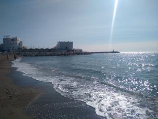 Local commercial à Parque de la Paloma. Atención inversores gran local en venta en benalmadena