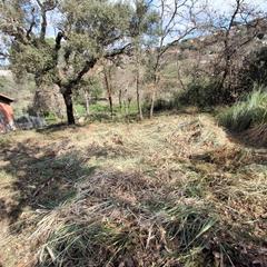 Residential Plot in Maçanet de la Selva Poble. Solar en venta en maçanet de la selva.