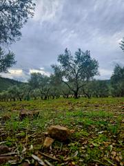 Country house in Llerena. Finca rúst. en venta en fuente del arco, 3 dormitorios.