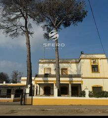 Xalet  El camp de túria. Amplia villa independiente sobre una parcela de 10.000 m  ribaro